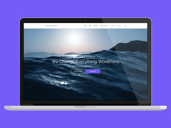 Shapely One Page WordPress Theme