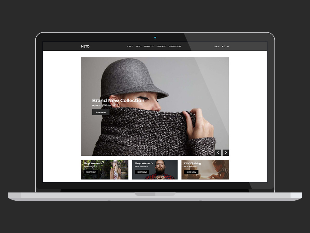 Neto eCommerce WordPress Theme