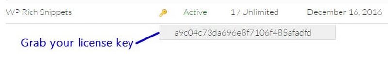 WP Rich Snippets License Key