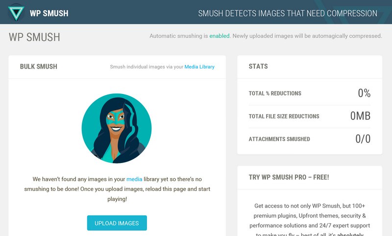 WP Smush Plugin Bulk Smush