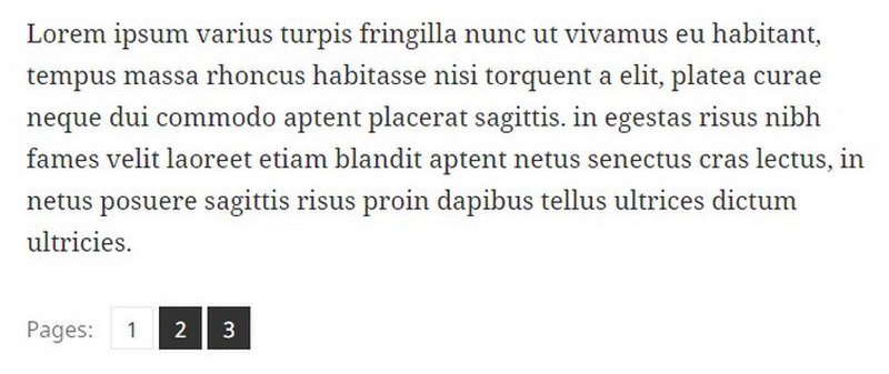 WordPress Post Pagination