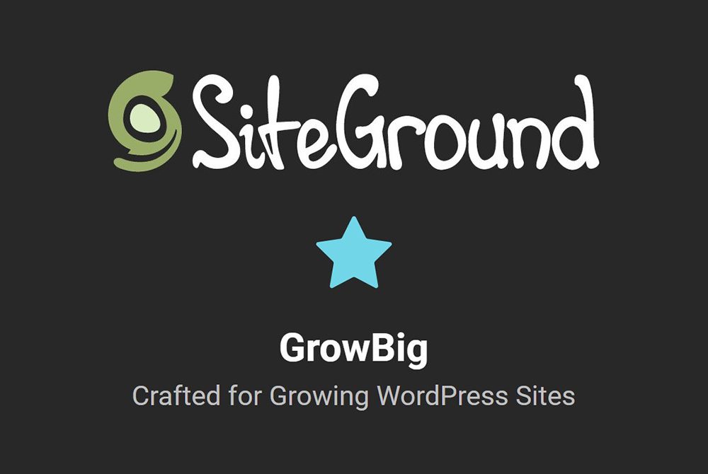 SiteGround GrowBig Review