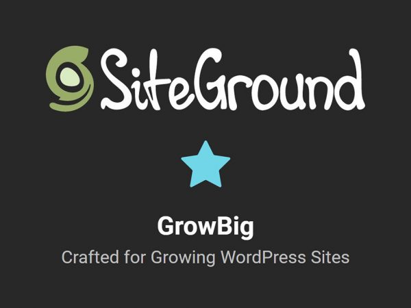 SiteGround GrowBig Review